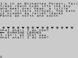 The Knights Quest (ZX Spectrum) screenshot: The text parser is painfully slow and seems to have problems understanding the most basic words.