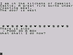 The Knights Quest (ZX Spectrum) screenshot: The Kitchen