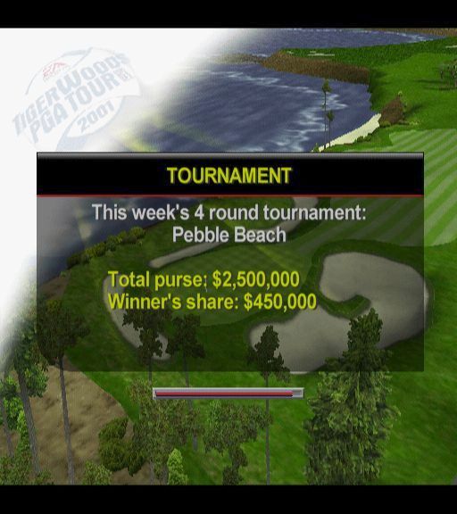 Tiger Woods PGA Tour 2001 (PlayStation 2) screenshot: The start of a tournament. This is the screen that the player sees while the game loads.