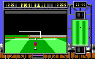 International Soccer Challenge (DOS) screenshot: Practice (EGA)