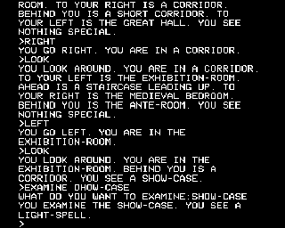 The Secret of Arendarvon Castle (BBC Micro) screenshot: Type "EXAMINE" and it will reveal what is in an object.