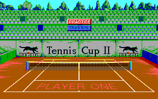 Tennis Cup 2 (DOS) screenshot: Training (EGA)