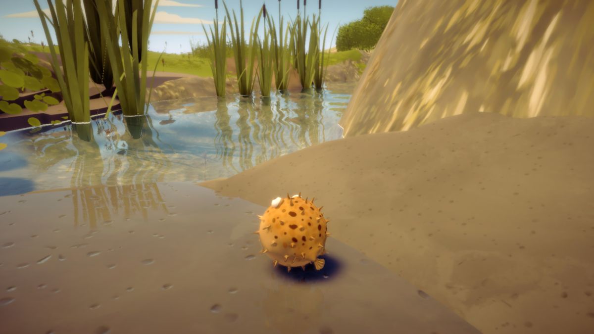 I Am Fish (Windows) screenshot: The puffer fish can blow itself up into a ball to roll down slopes.