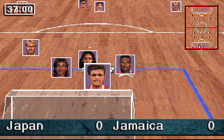 Striker '95 (DOS) screenshot: You can display the player faces to identify them.