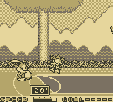 Tiny Toon Adventures: Wacky Sports (Game Boy) screenshot: Basketball