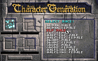 Eye of the Beholder (DOS) screenshot: Character Generation