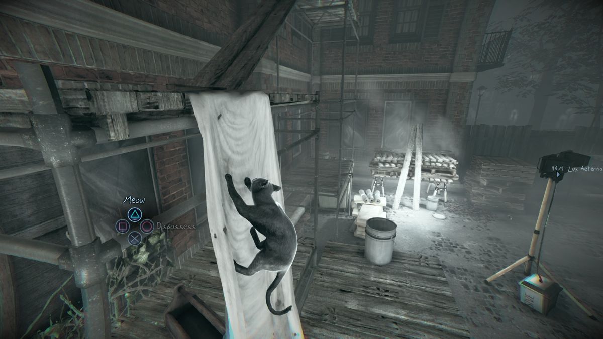 Murdered: Soul Suspect (PlayStation 4) screenshot: Cats seem to have some special climbing abilities.