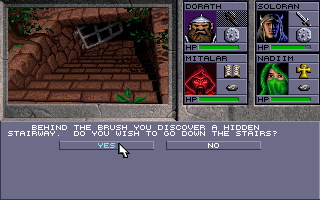 Eye of the Beholder II: The Legend of Darkmoon (DOS) screenshot: A secret passage