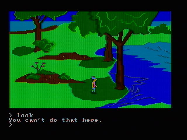 King's Quest (PC Booter) screenshot: Exploring (CGA composite mode)