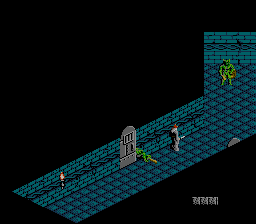 The Immortal (NES) screenshot: One troll down, one troll to go