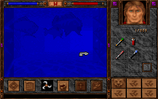 Shadowcaster (DOS) screenshot: As if the risk of drowning wasn't enough... piranhas!