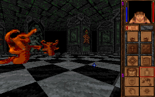 Shadowcaster (DOS) screenshot: Maybe I could sneak past those snakes?