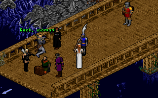 Ultima Collection (DOS) screenshot: Ultima VIII - Game - It starts with an execution
