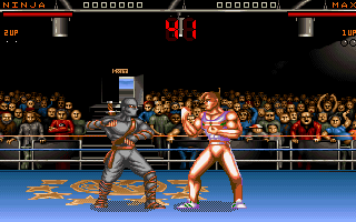 Ultimate Body Blows (DOS) screenshot: Two best characters.