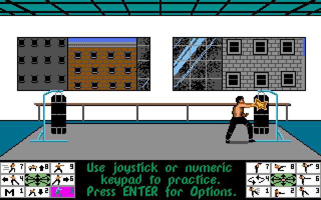 Bruce Lee Lives (DOS) screenshot: Training Room (VGA)