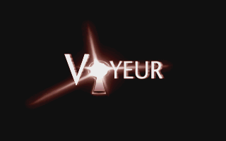 Voyeur (DOS) screenshot: Voyeur - the beginning