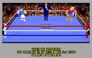 4-D Boxing (DOS) screenshot: And the winner is...