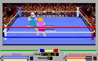 4-D Boxing (DOS) screenshot: Elwood 'KO' Blues on his way to another glorious victory