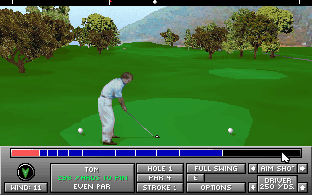 Jack Nicklaus Golf & Course Design: Signature Edition (DOS) screenshot: the first tea - MCGA/VGA