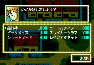 Burai: Hachigyoku no Yūshi Densetsu (SEGA CD) screenshot: Buying weapons