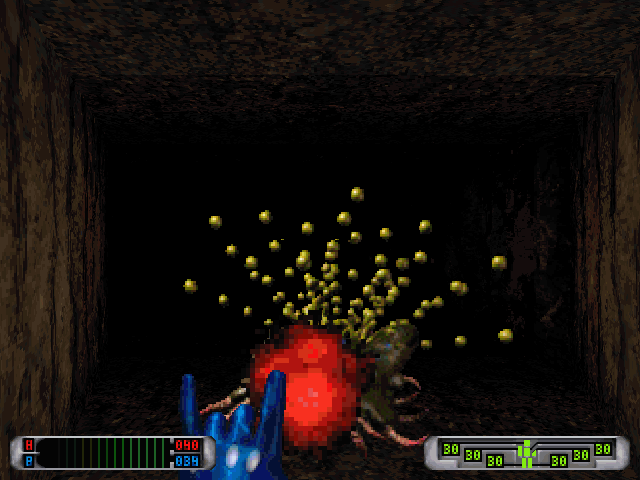 CyberMage: Darklight Awakening (DOS) screenshot: Fighting a slugg