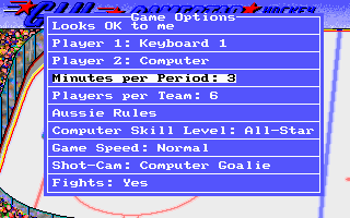 FaceOff! (DOS) screenshot: Game options screen (VGA).