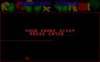 Amazon Snake (DOS) screenshot: Contact with a wall is fatal