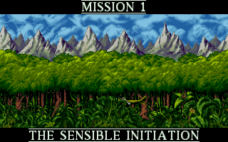 Cannon Fodder (DOS) screenshot: Pre-mission cutscene