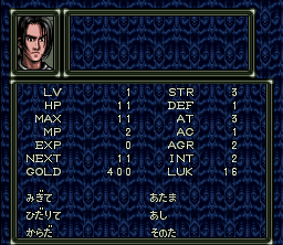 Dark Kingdom (SNES) screenshot: Character information