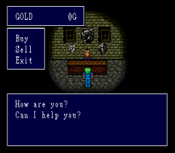Sorcerer's Kingdom (Genesis) screenshot: In a shop