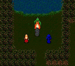 Sorcerer's Kingdom (Genesis) screenshot: Fighting a Basilisk