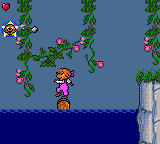 The Berenstain Bears' Camping Adventure (Game Gear) screenshot: Balance is the key