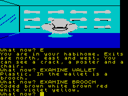 The Worm in Paradise (ZX Spectrum) screenshot: Another important code