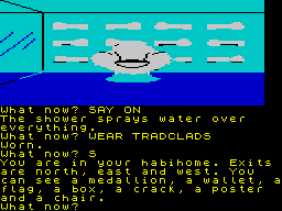 The Worm in Paradise (ZX Spectrum) screenshot: My possessions