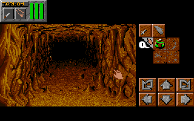 Dungeon Master II: Skullkeep (Amiga) screenshot: where it always start..