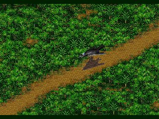 Jungle Strike (Genesis) screenshot: Aboard an F-117 Stealth Fighter
