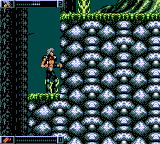 Wolfchild (Game Gear) screenshot: Can I jump to the upper level?