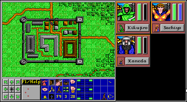 The Aethra Chronicles: Volume One - Celystra's Bane (DOS) screenshot: At the castle gates