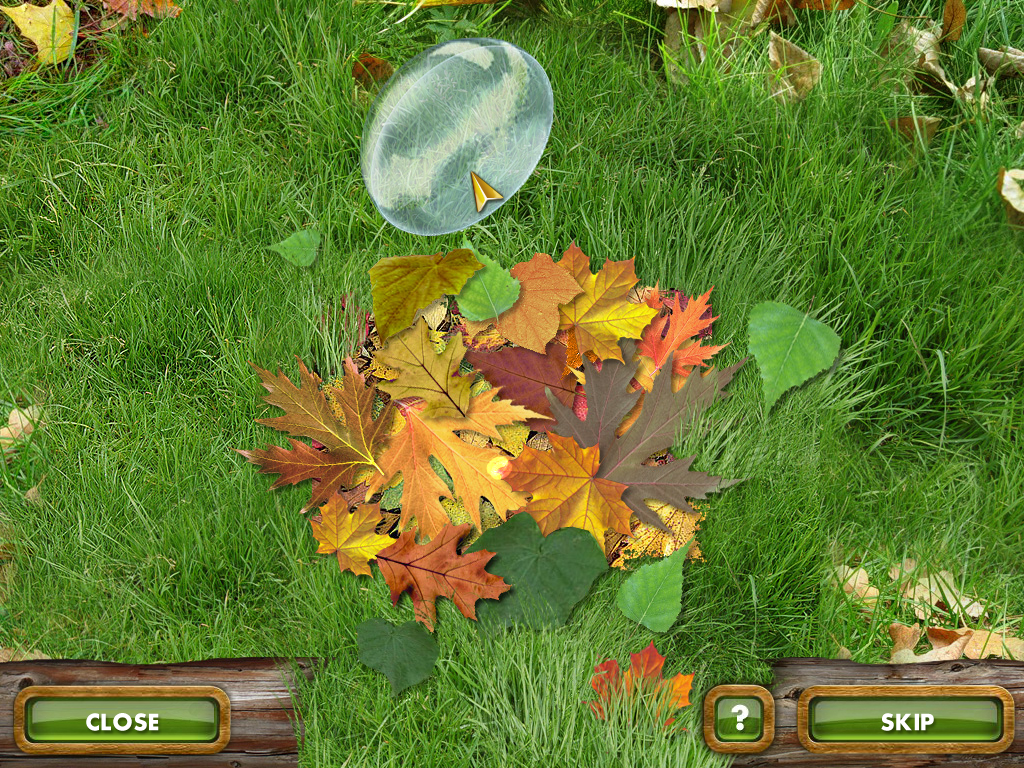 The Treasures of Mystery Island: The Gates of Fate (Windows) screenshot: Using the lens to ignite the dry leaves.