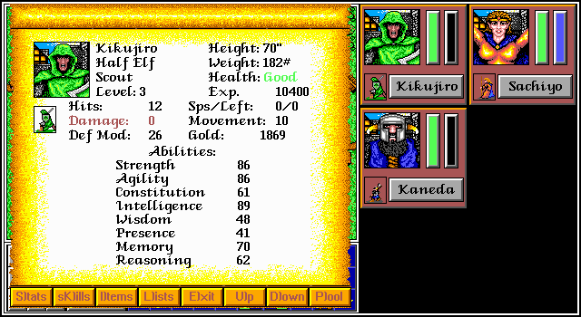 The Aethra Chronicles: Volume One - Celystra's Bane (DOS) screenshot: Status Screen