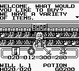 Knight Quest (Game Boy) screenshot: Shops and houses are viewed from a first-person perspective
