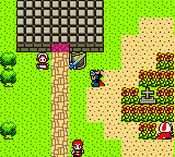 Dragon Warrior I & II (Game Boy Color) screenshot: Dragon Warrior I town on GBC