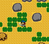 Harvest Moon GB (Game Boy Color) screenshot: Working.