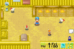 Harvest Moon: Friends of Mineral Town (Game Boy Advance) screenshot: Chickens