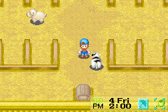 Harvest Moon: Friends of Mineral Town (Game Boy Advance) screenshot: Livestock