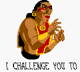 Gold and Glory: The Road to El Dorado (Game Boy Color) screenshot: Shaman is challenging you...