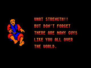 Street Fighter (Amstrad CPC) screenshot: You are threatened between each match