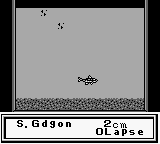 Legend of the River King GB (Game Boy) screenshot: The fish