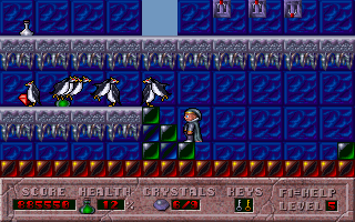 Hocus Pocus (DOS) screenshot: Sometimes you get the impression that the game developers just ran out of ideas...