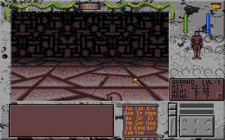 Towers: Lord Baniff's Deceit (Atari ST) screenshot: In the tower